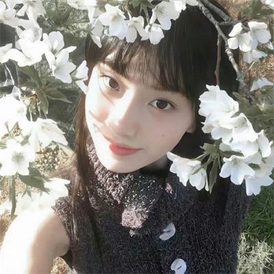 热血长安第二季